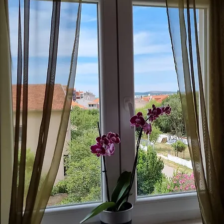 Vila Bonbon 3 Biograd Na Moru Exterior photo